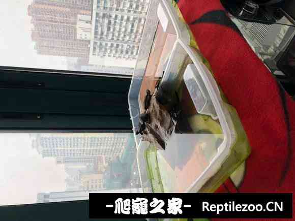 103937eq1pj1pkkpzeptpa.jpg
