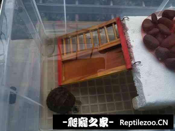 104401wvrvo4u448nzu8ok.jpg