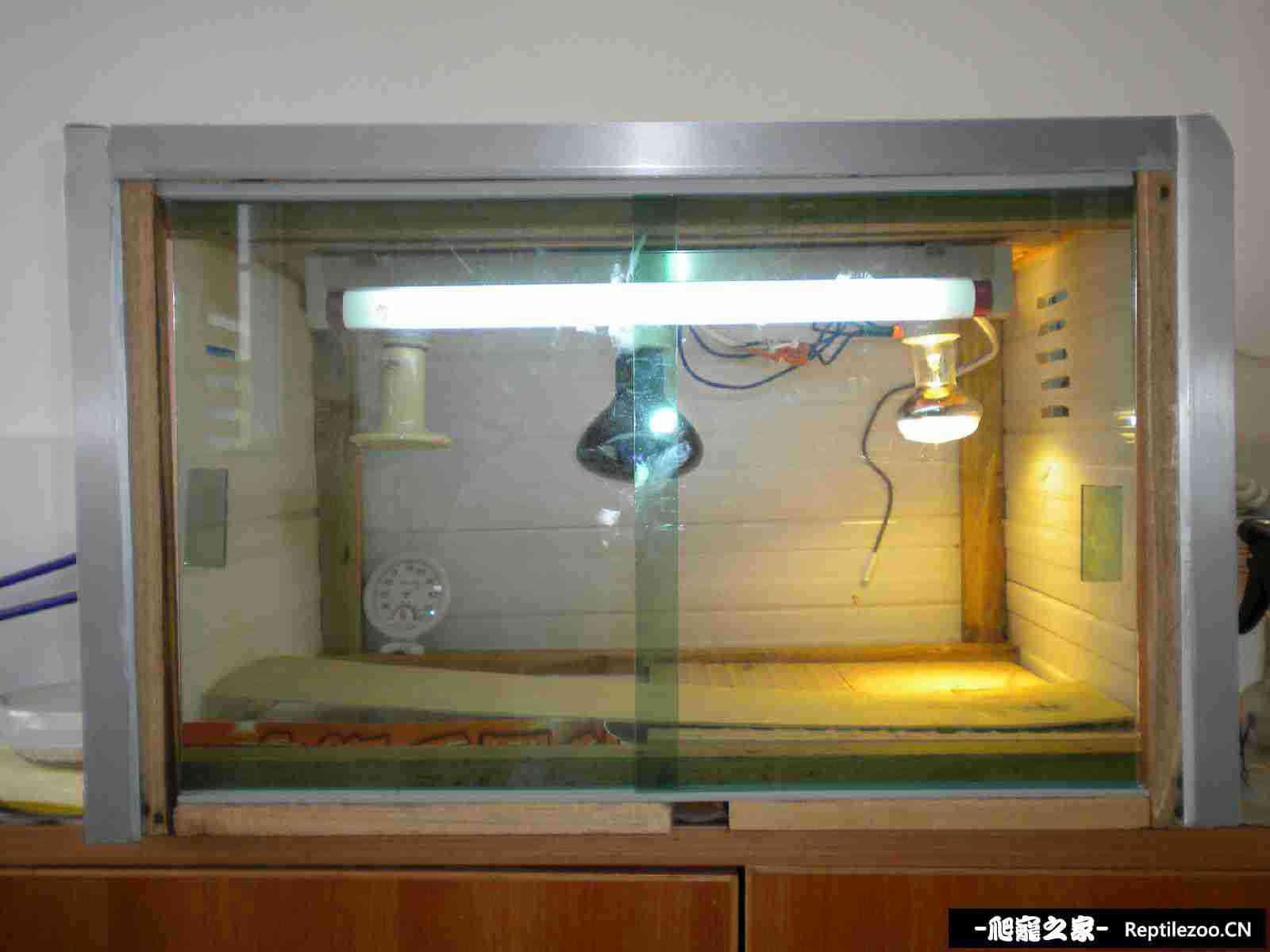 111004bseihisugxpxjgbz.jpg