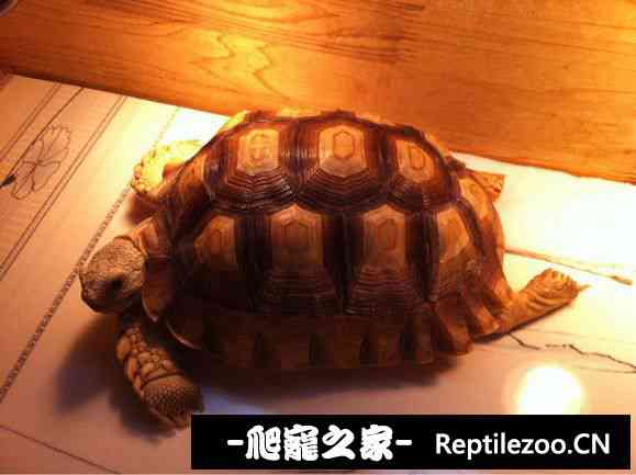111105huy7uyt1u8uf7u81.jpg