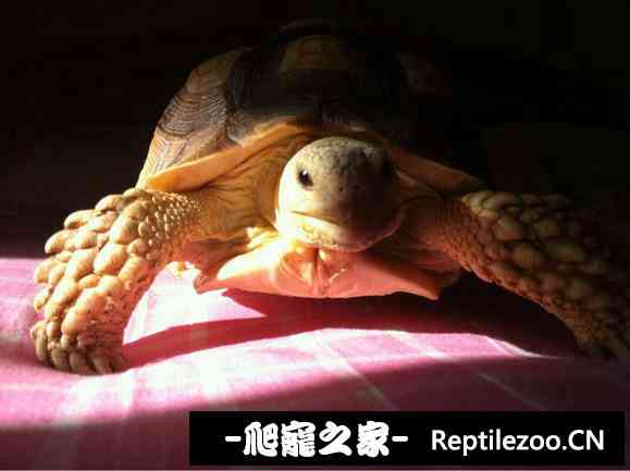 111106nhow7sh6kqswhqtb.jpg