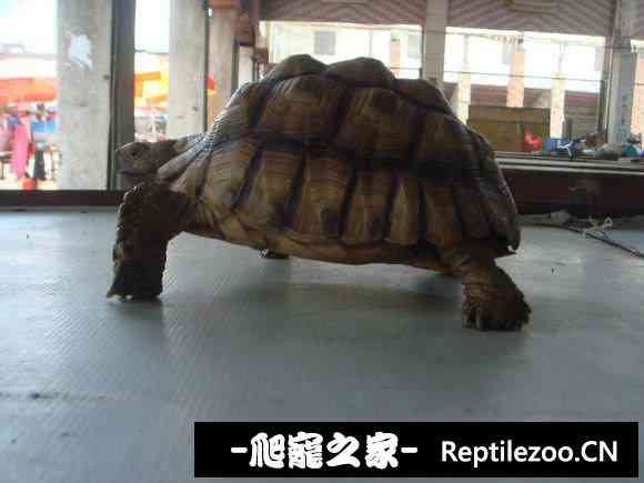 111118gzsuo00gz3f5vuoh.jpg