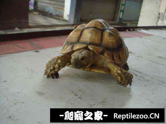 111120yt7epz0ogffkkfqh.jpg