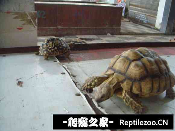 111121fyhhzizt24sp4tto.jpg
