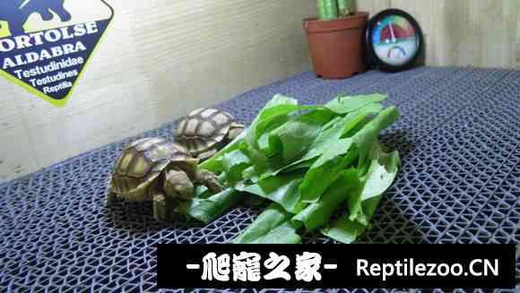 111143hlnlblxx77qsj79q.jpg