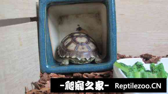 111213cfltyltv2clg7u7g.jpg