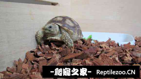 111213ffmfwsml1meecw18.jpg
