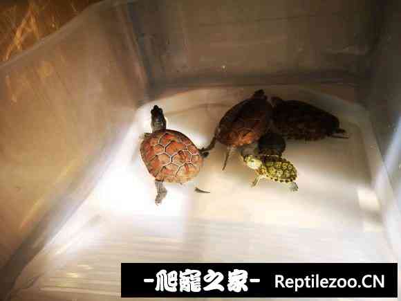 112630ewfwzeqfkpfefrfr.jpg