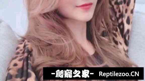 112854h6fkfdv6d6wfswq6.jpg