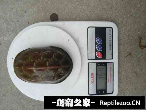 112958dm01v0gqpp0pg026.jpg