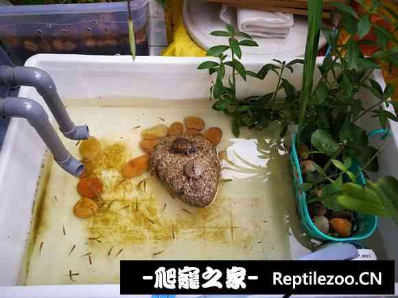 113059u9akfxfx0jmfmsqq.jpg