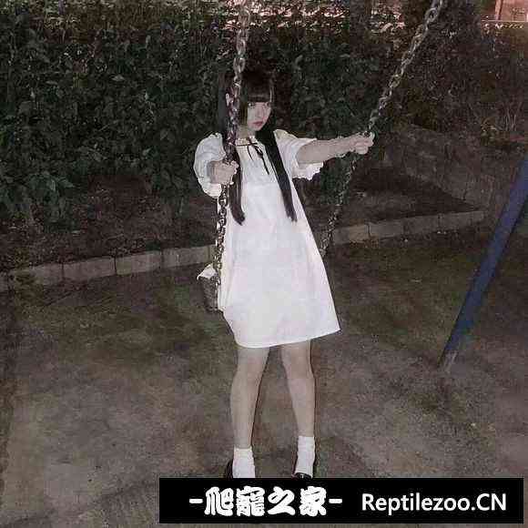 113252ifwwbe3uvebguxez.jpg