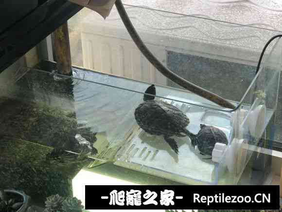 113634ezp7gjpz244747zj.jpg