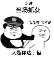 113907xtxqs3d37djaz9l6.jpg
