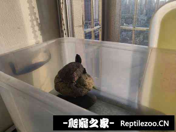 113916o7lqul7nglmzjl7j.jpg