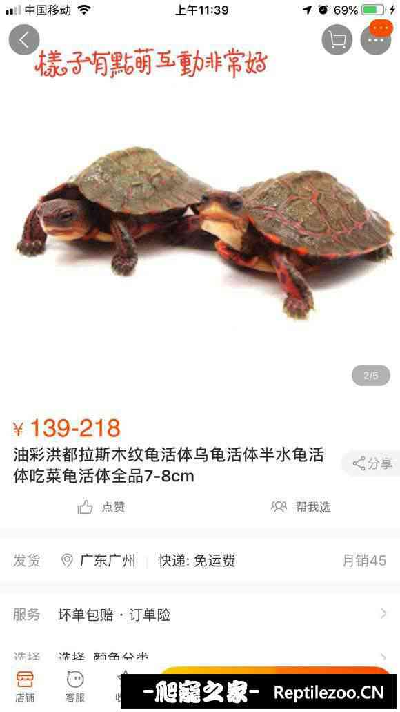113931nixuauzx3l3xo7hj.jpg