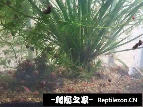 114347u4xxu7xyfshnt19y.jpg