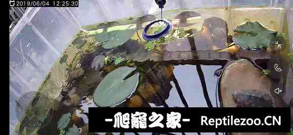 115601h1wlw3wkwzww1dw9.jpg