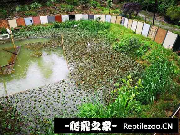 115609b98hk88k7zh9d5k9.jpg