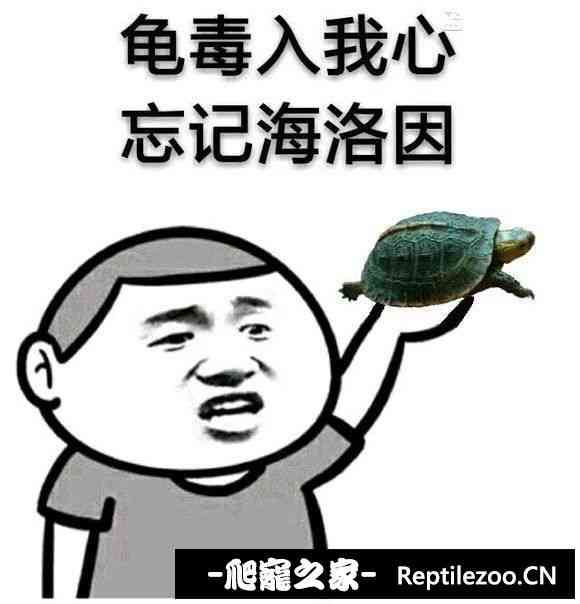 115758gputumtrmnruasmm.jpg