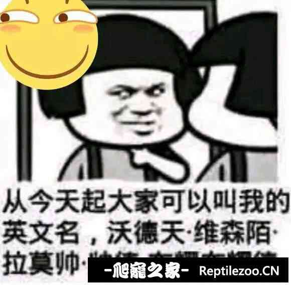 115952xh34hww6zk1kw3gw.jpg