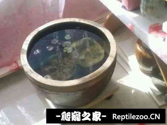 115953wecpeddddcp3a99h.jpg