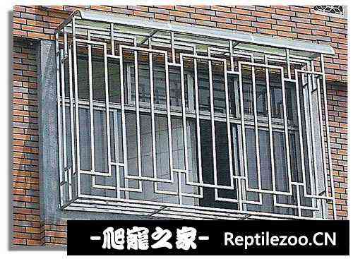 120049p0pkkdcdj9cgzzc2.jpg