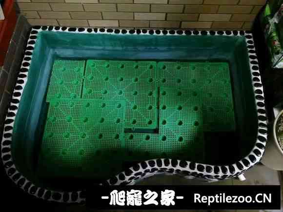 125758fysxk4sklpxflxxs.jpg