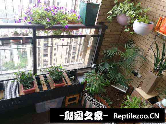 125800cwp8qj3q8315y7la.jpg