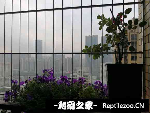 125810xzz7mgj799j2kiji.jpg