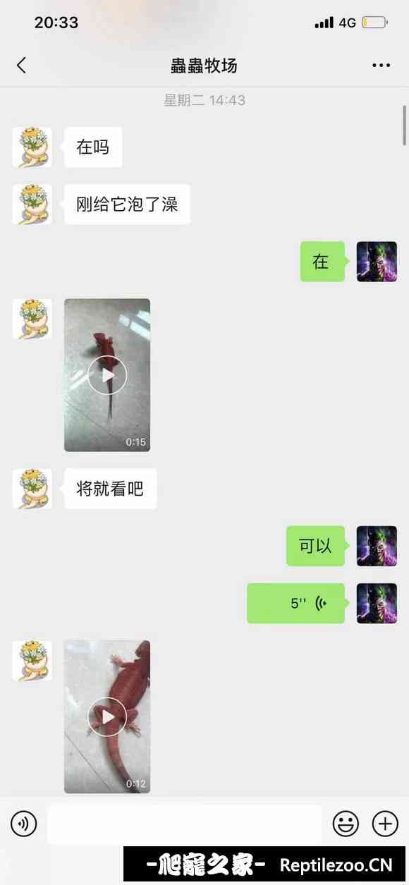 145740fvijmiqi1jxbvvy0.jpg