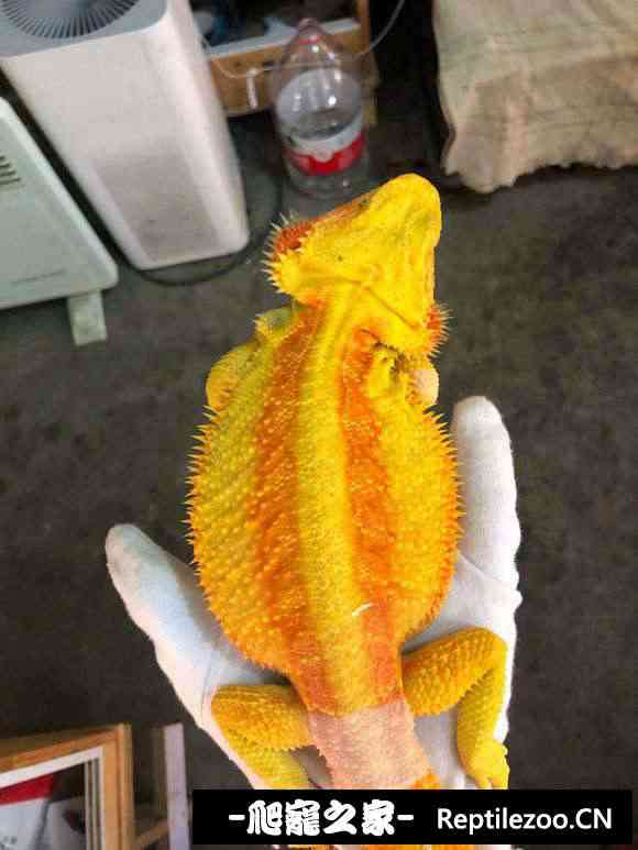 150129erpjpus510g0jtpp.jpg