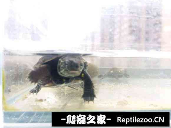 151547vx70p6p0jw3aw1f6.jpg