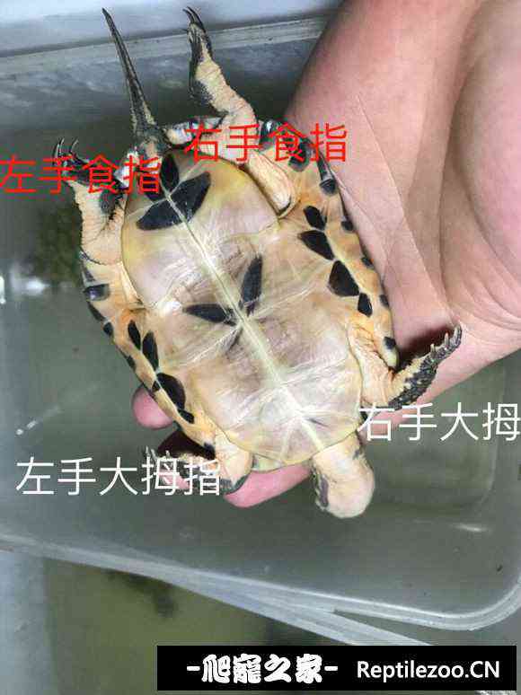 152026hk0doe6ze91ybu2h.jpg