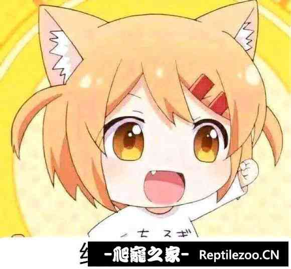 152157kj43l1luu4rr4vz4.jpg
