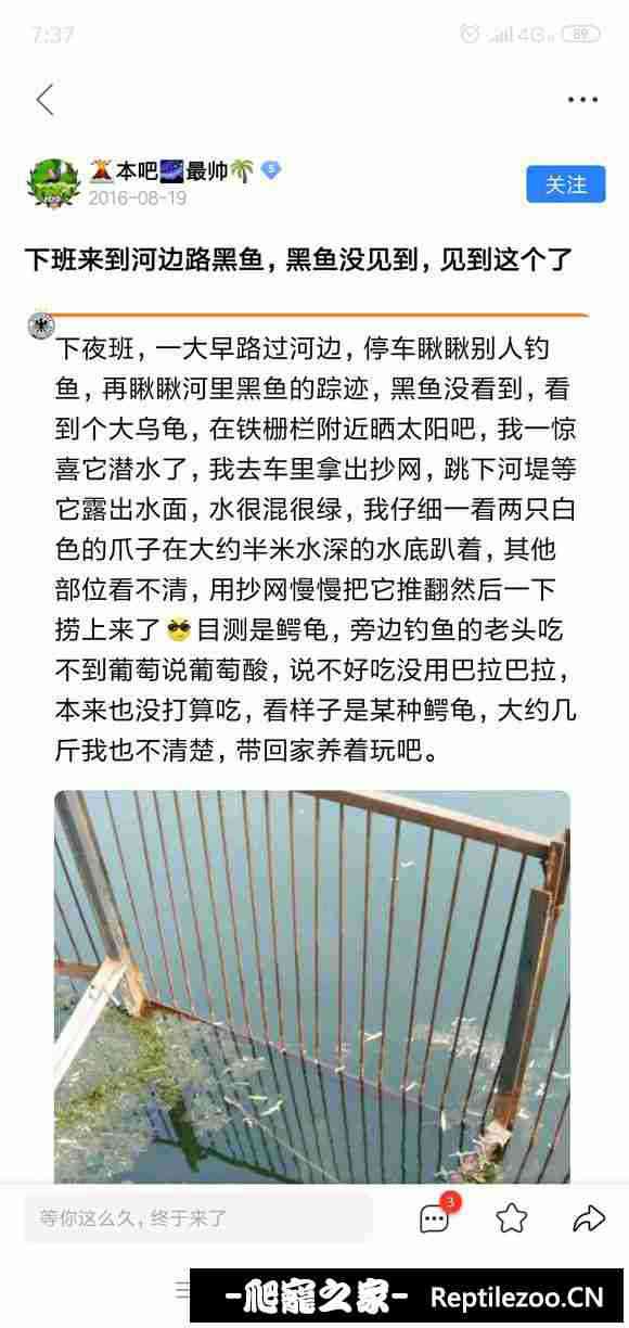 152304vzwmb78rwi477rcr.jpg