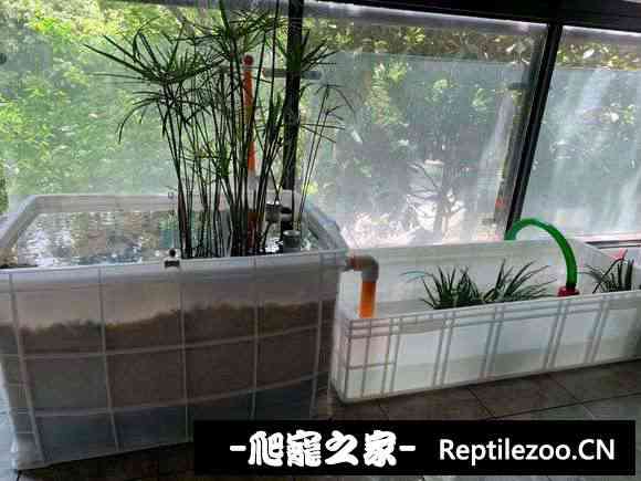 152527unik7nhdndqq88qy.jpg