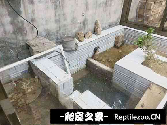 152612edd2doshd5aoohf3.jpg