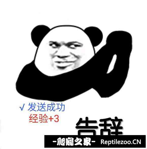 152637q2h7se72hm9na80h.jpg