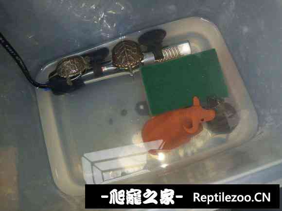152752idmm8m7p8k8y8om2.jpg