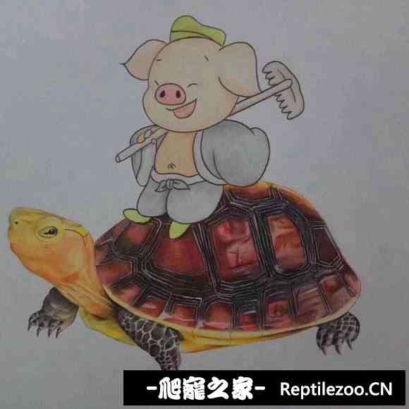 153944aijh7b2f9il2jjhw.jpg