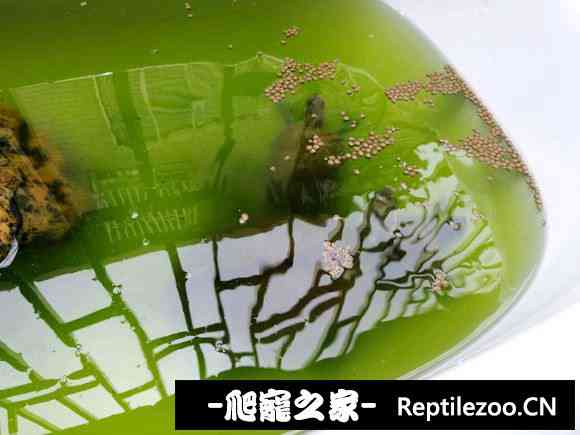 154125ozp94wpxx09mwswj.jpg