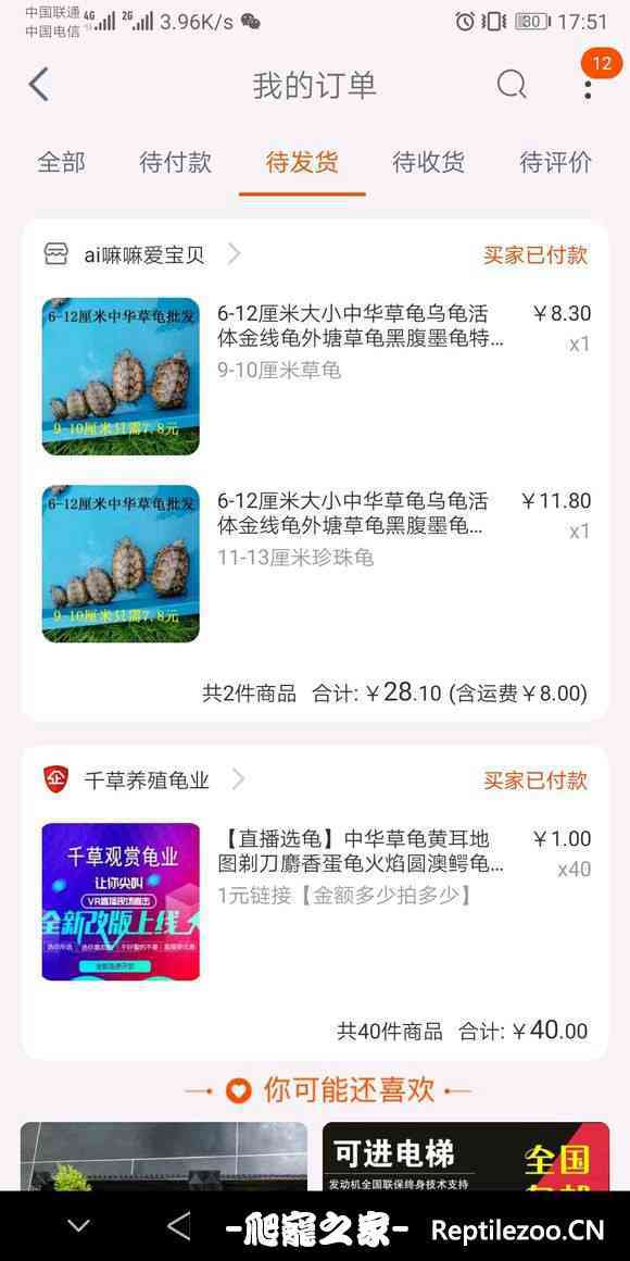 155203hm6aguy3t6mr3f66.jpg