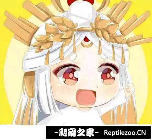 155205ctlqocqlbcahzrfd.jpg