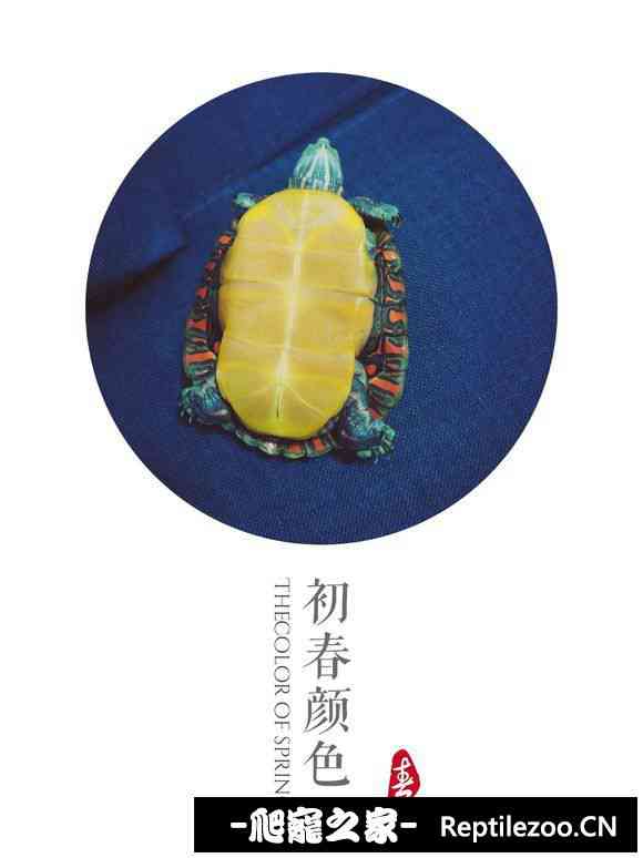 155514mh7uoop9pr7lhip9.jpg