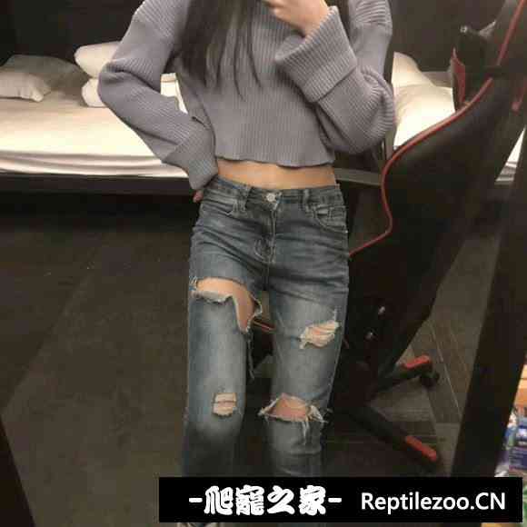 155550xo5p4azep1tbrfzx.jpg