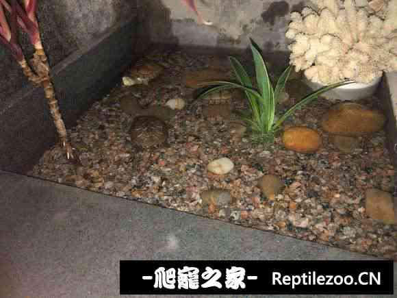 160543szvwqzqp3d5ukqlq.jpg