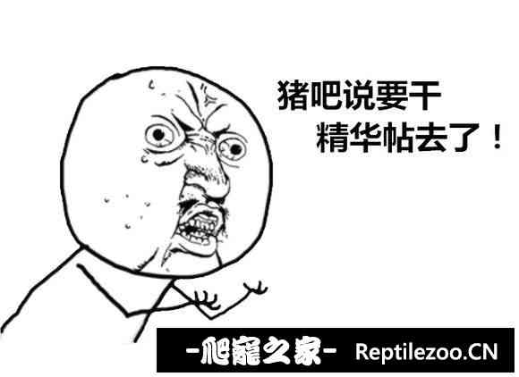 174140rq6py5zypnyyjy9i.jpg