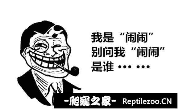174141cdzqdx5xdlod7v0x.jpg
