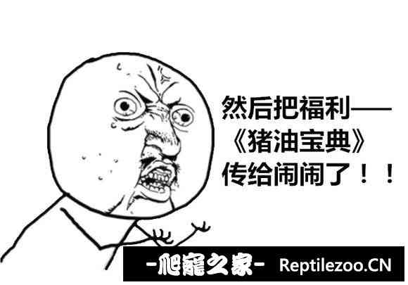 174141r6f5ye5tq1rij0gf.jpg